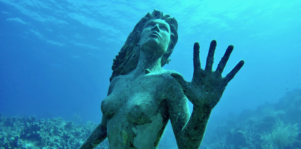 How Long Does a Mermaid Fish Live?