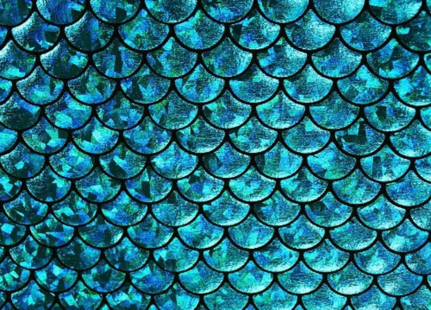 What are Mermaid Scales?