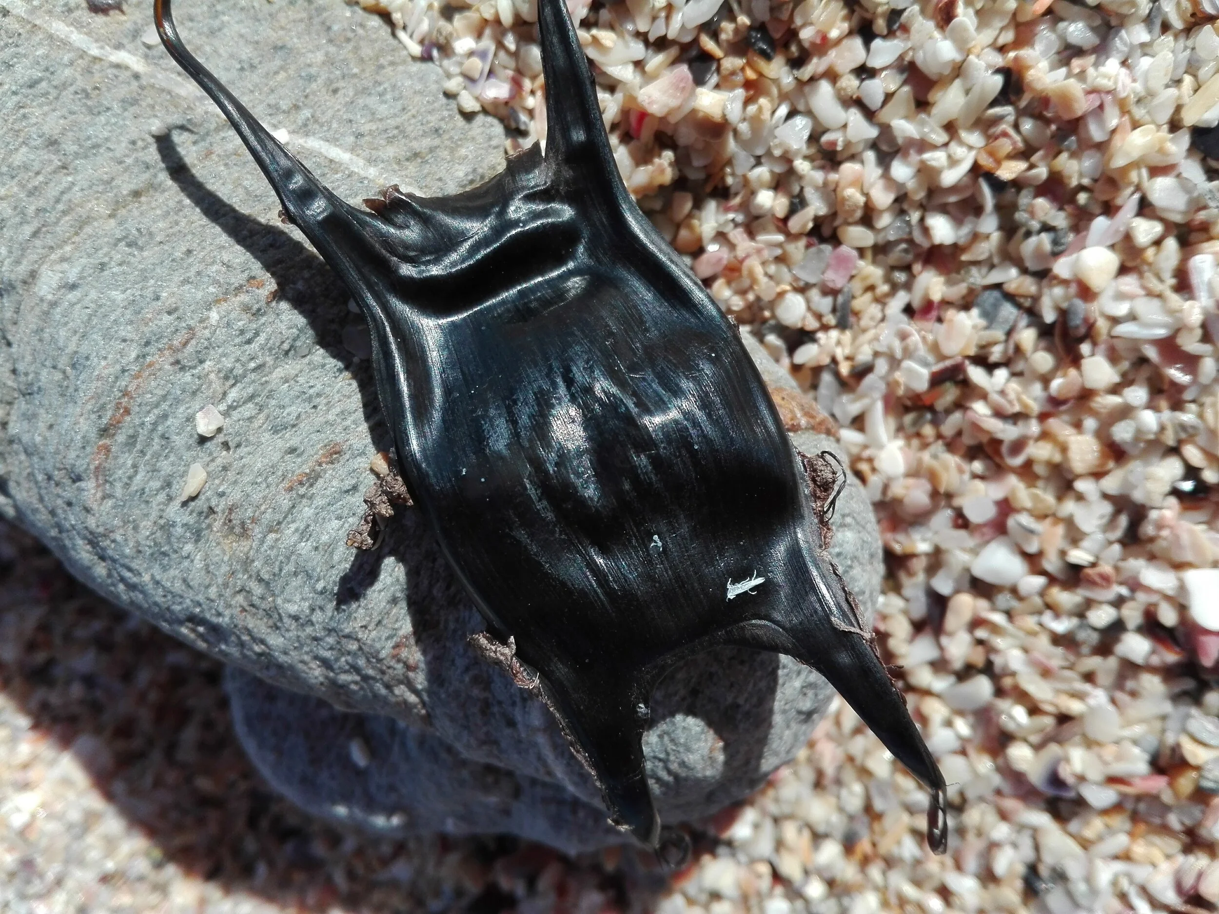 Mermaid Purse