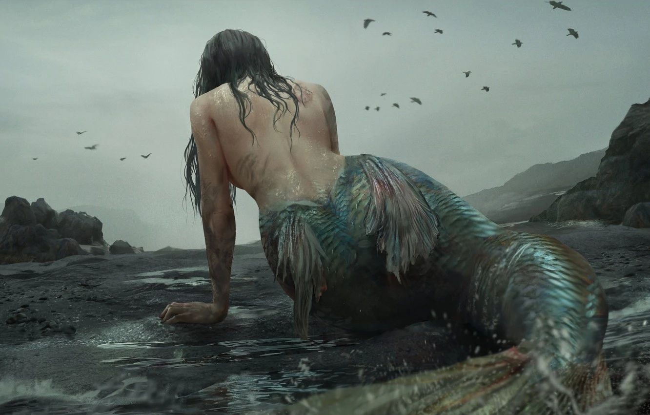 What Fish are Mermaids Based On?
