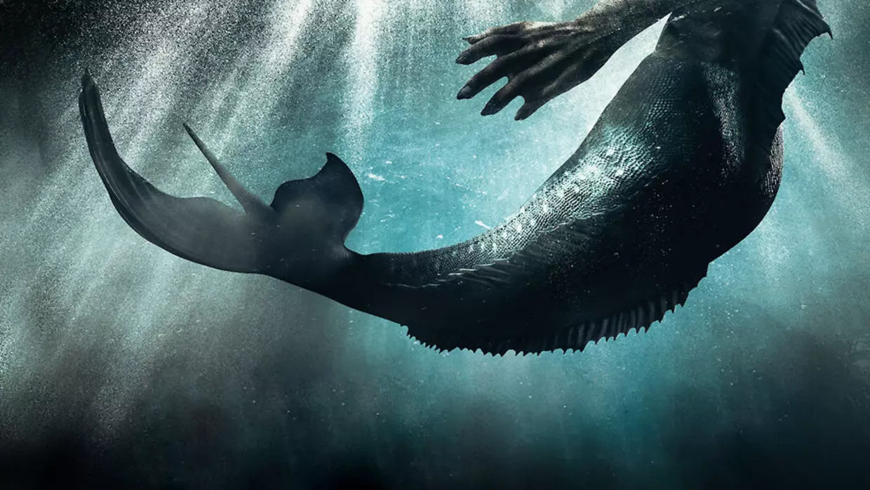 Is Siren a Mermaid?