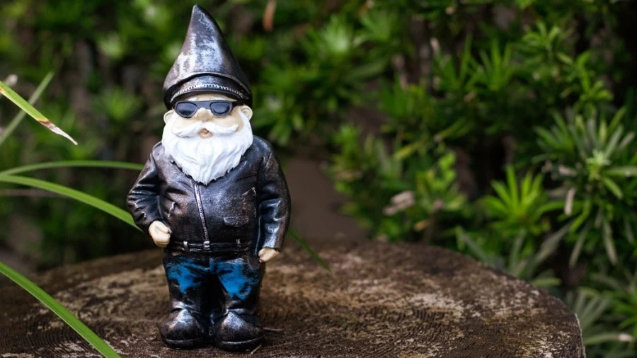 Gnomes