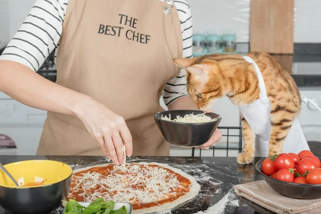 Why Do Cats Like Tomato Sauce