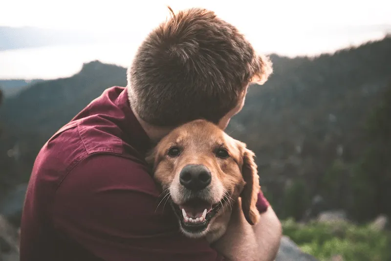 What Does It Mean When a Dog Imprints on You?