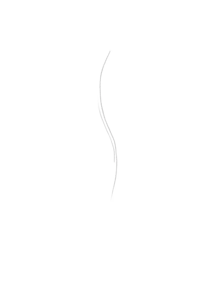 Draw the curve of the tail