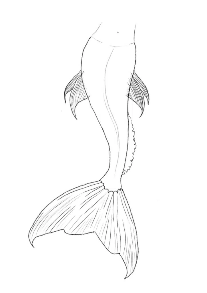 Shade the side fins