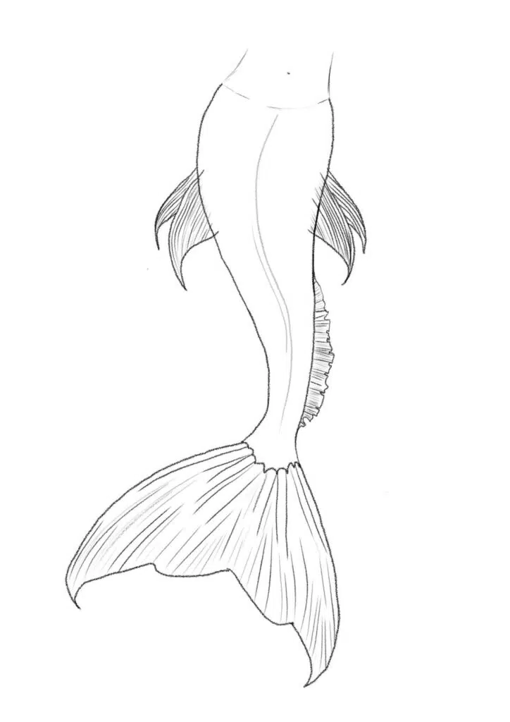 Shade the Long Side Fin