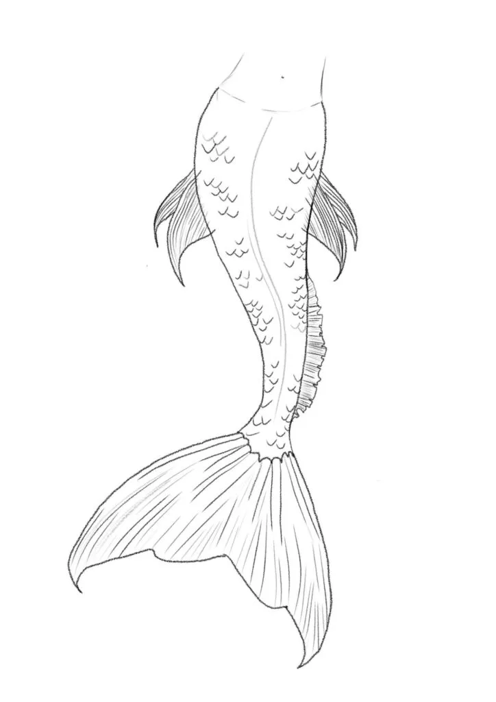 Step 3: Add Details to the Tail