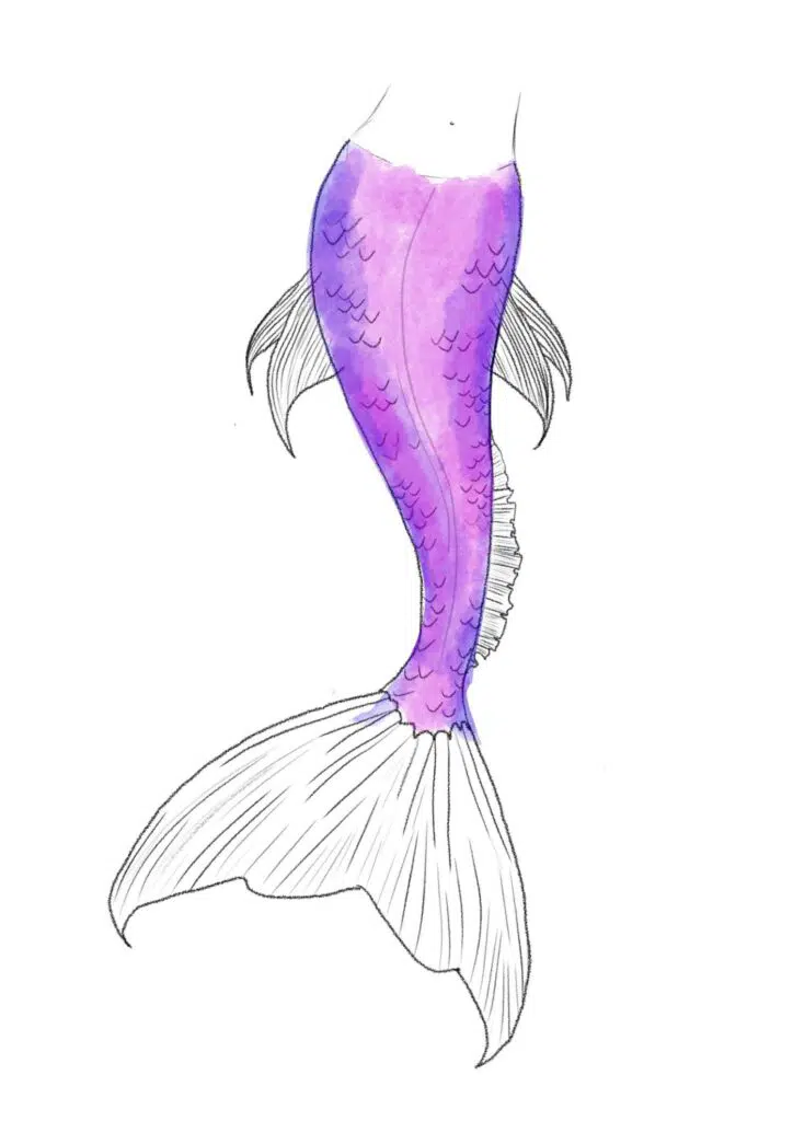 Add Color to the Fins and Tail