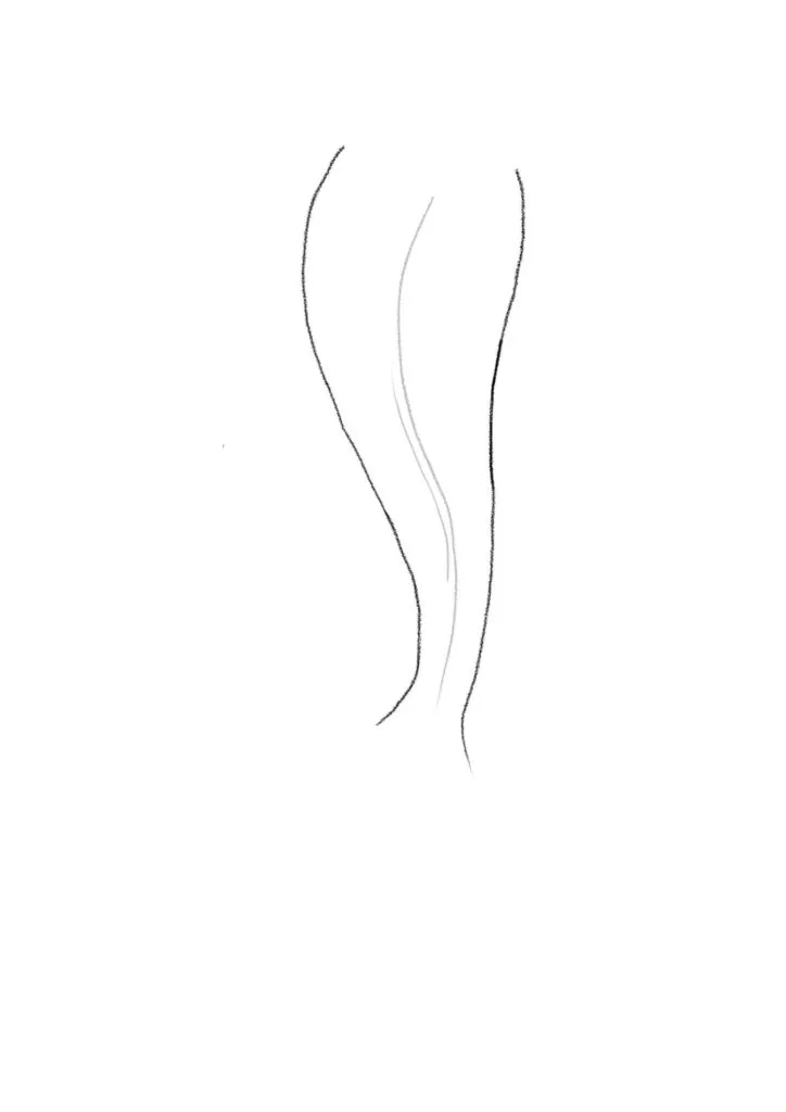 Draw the curve of the tail