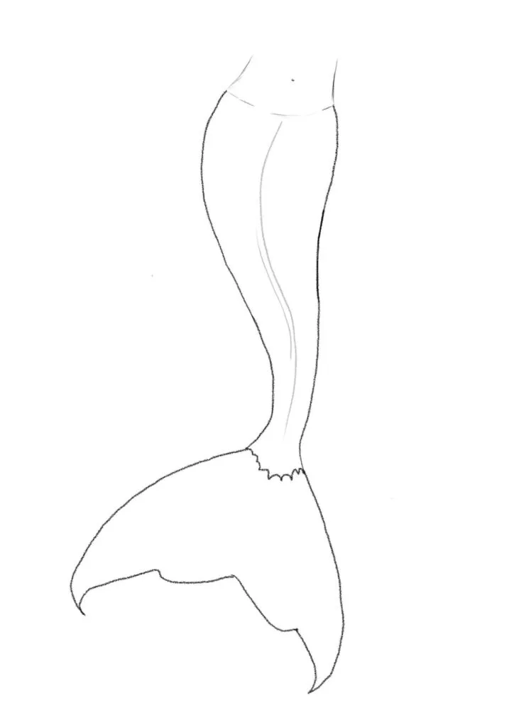 Drawing the End of the Tail