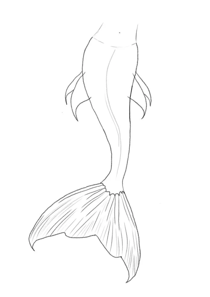 Adding the Fins on the Sides of the Tail
