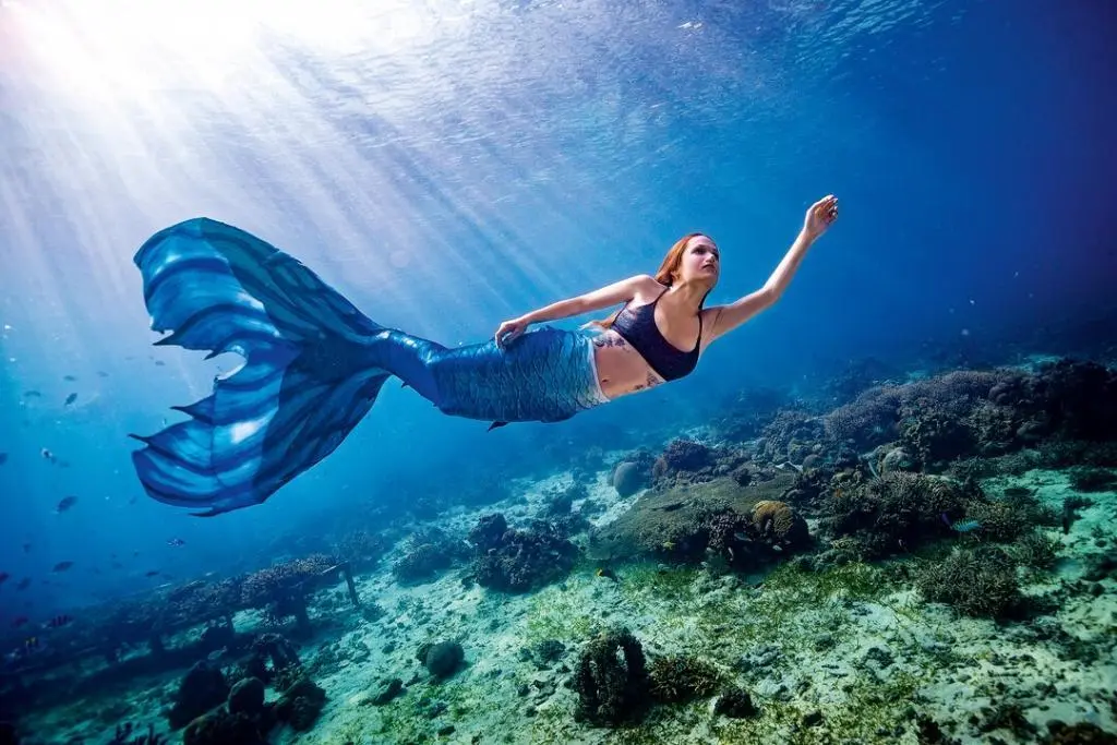 Dream of Mermaid Attack Meaning
