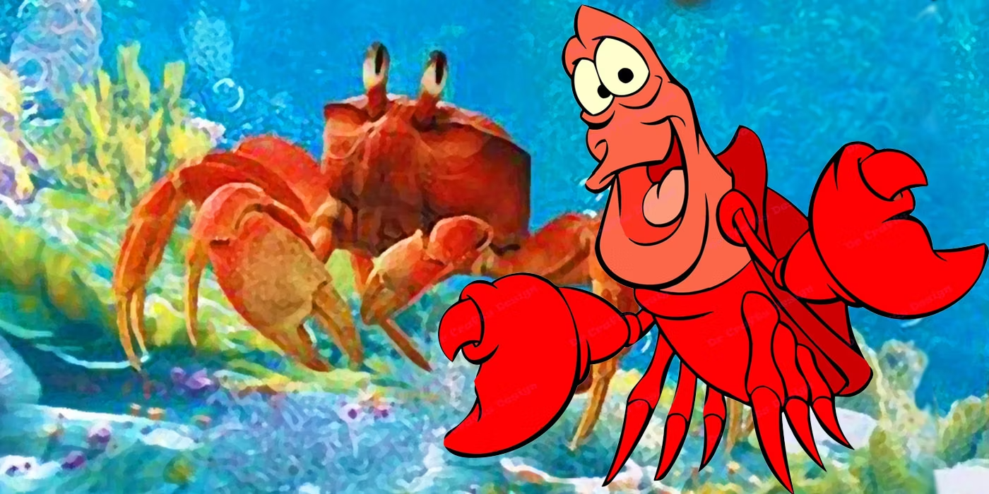 Sebastian Little Mermaid: