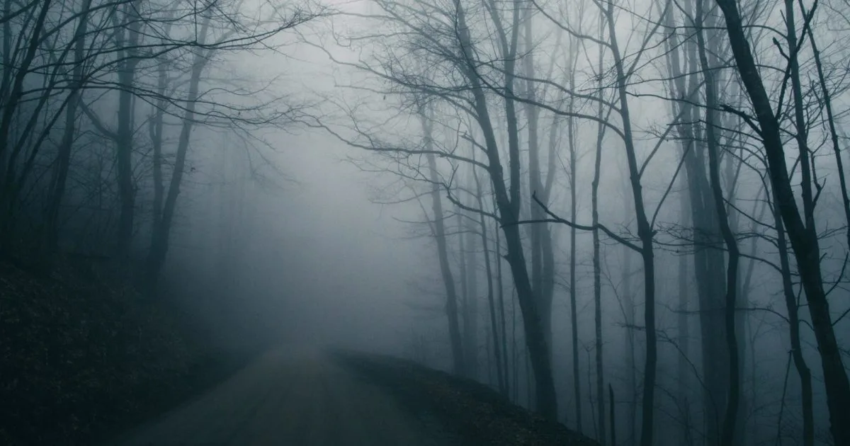 What is a Dark Mythical Creature?