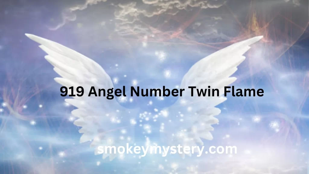 919 Angel Number Twin Flame