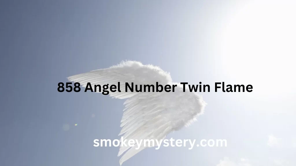 858 Angel Number Twin Flame