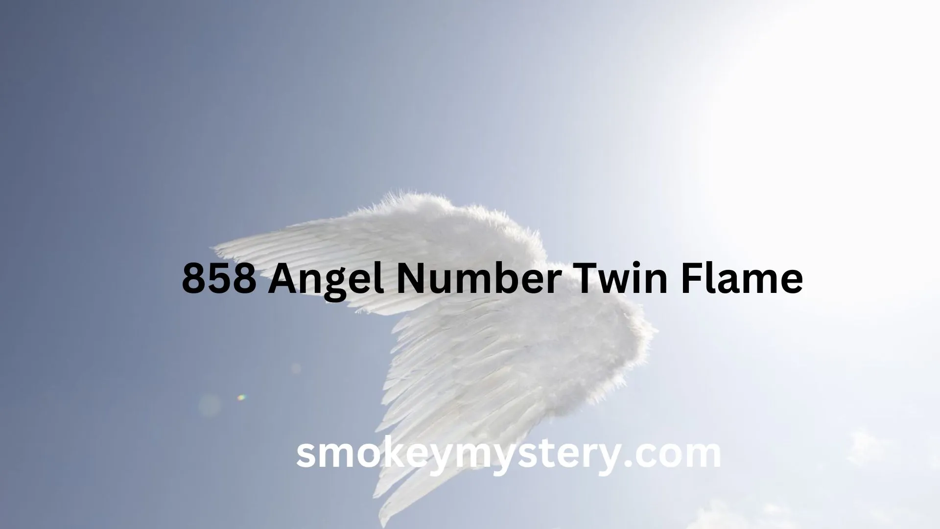 858 Angel Number Twin Flame
