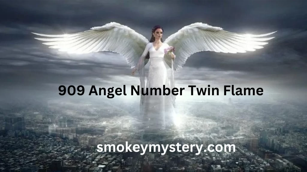 909 Angel Number Twin Flame