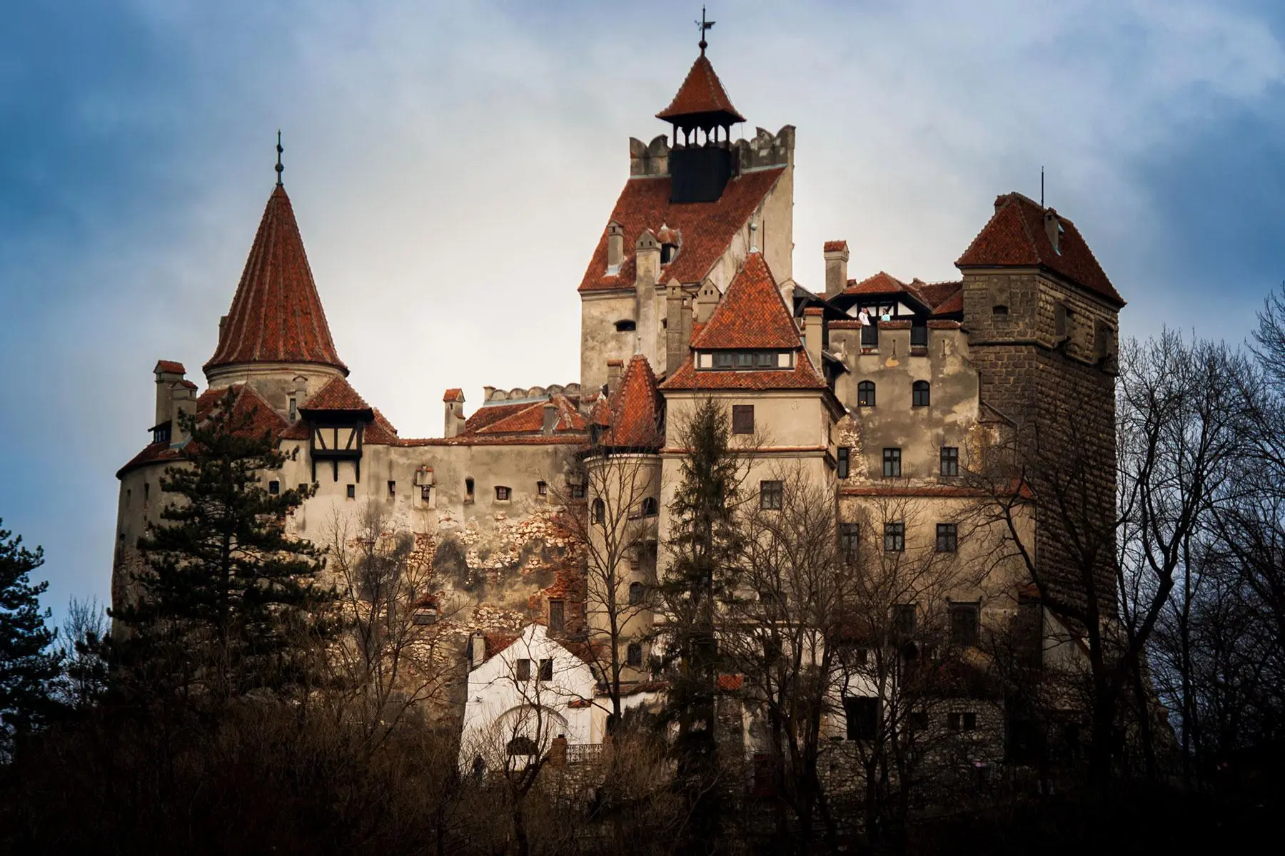 Where Are Vampires Mostly Found?