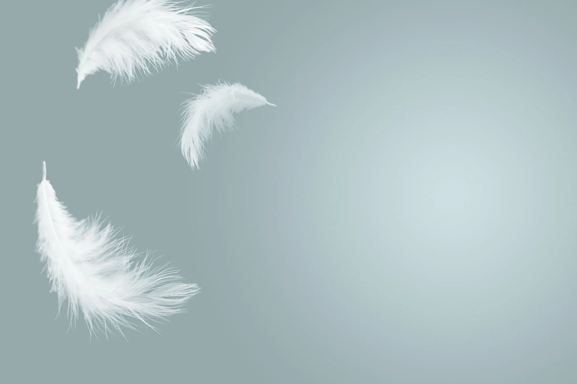 Are Guardian Angels Real?