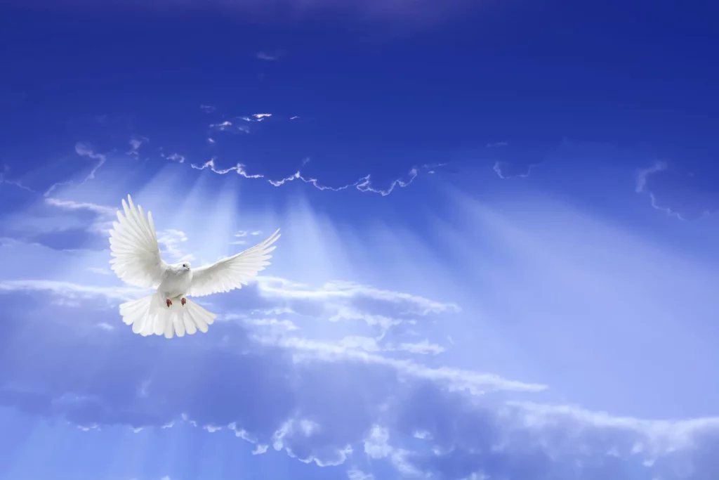 What Does the Holy Spirit Do?