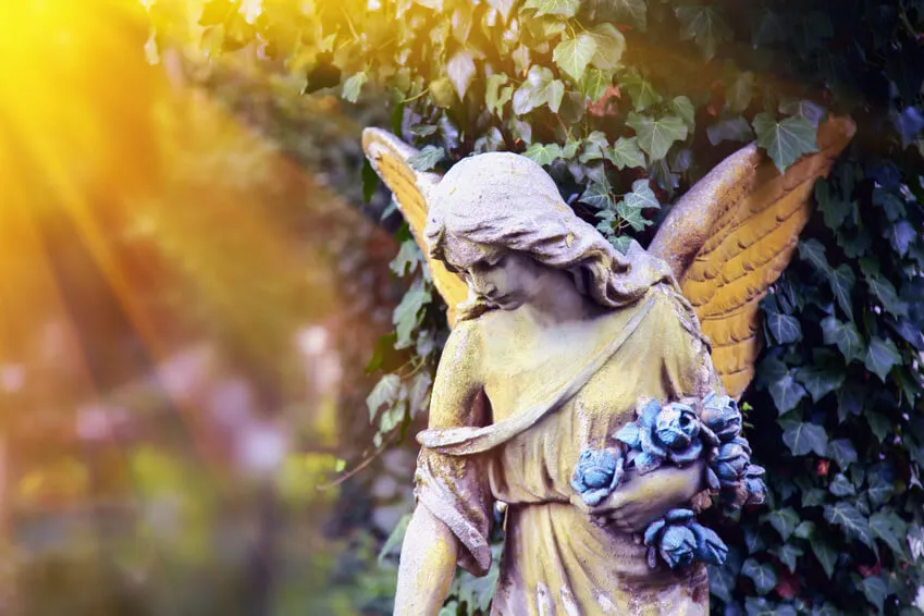 7 Signs Your Guardian Angel Is With You