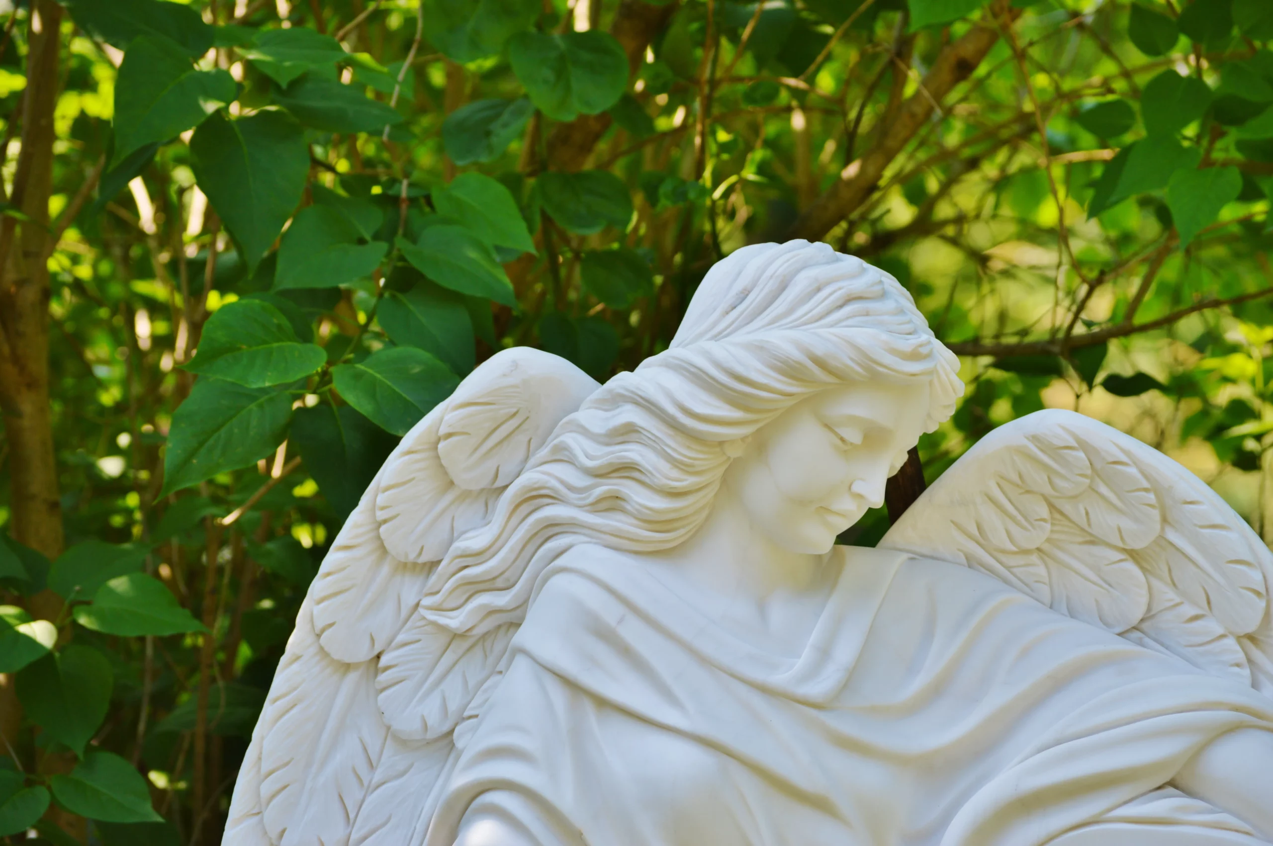7 Signs Your Guardian Angel Is With You