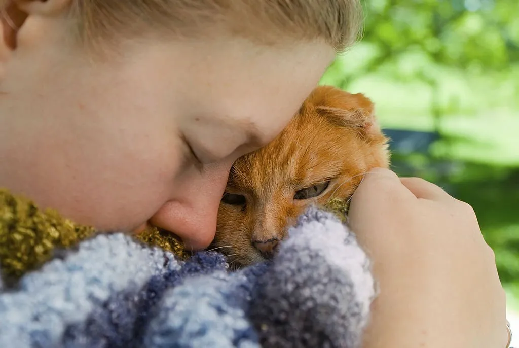 Does My Cat Love Me?