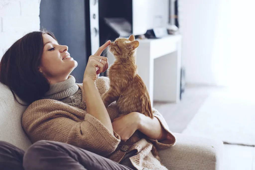 How to Make Cats Like You