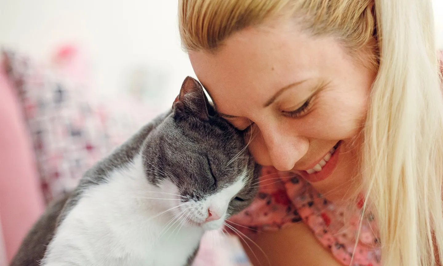 Signs Your Cat Trusts You