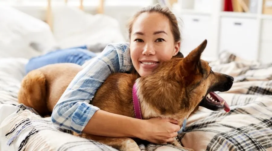 Signs Your Dog is Attached to You