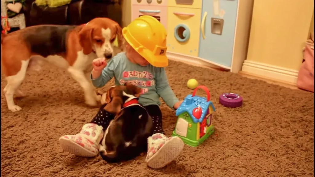 Do Dogs Get Jealous of New Puppy?