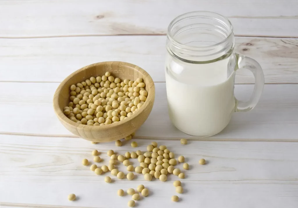 Can Cats Drink Soy Milk?